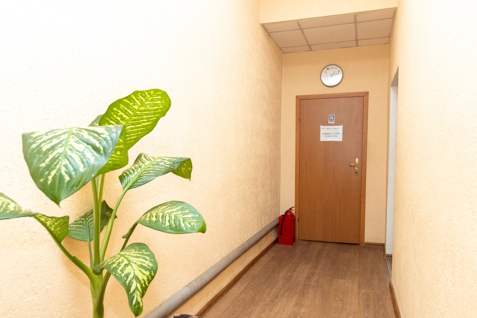 Хостел Like Hostel