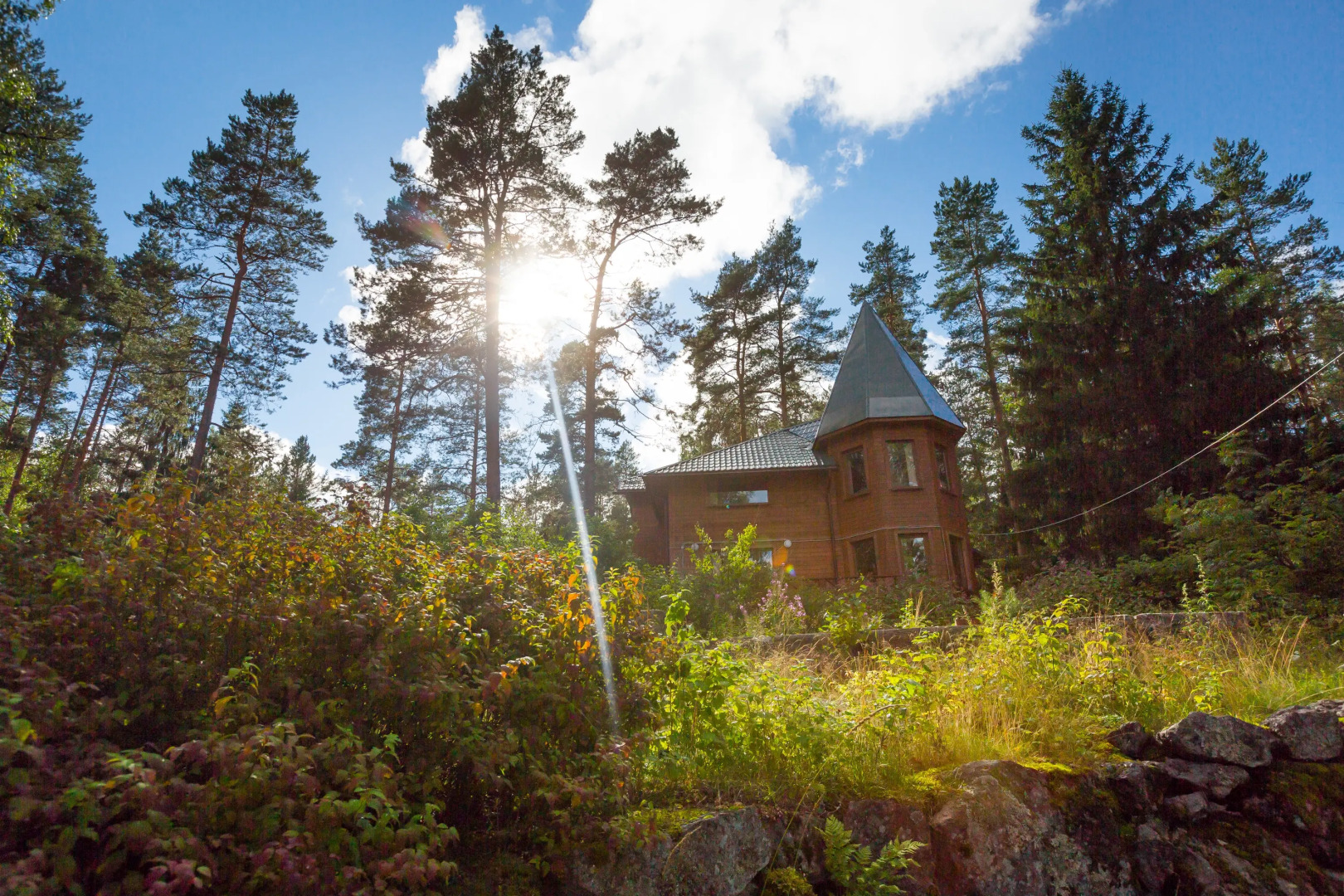 База отдыха Лесная Сказка