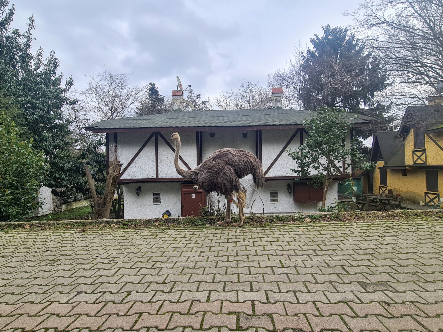 Polonezköy Country Club & Accommodation in the Wildlife Park