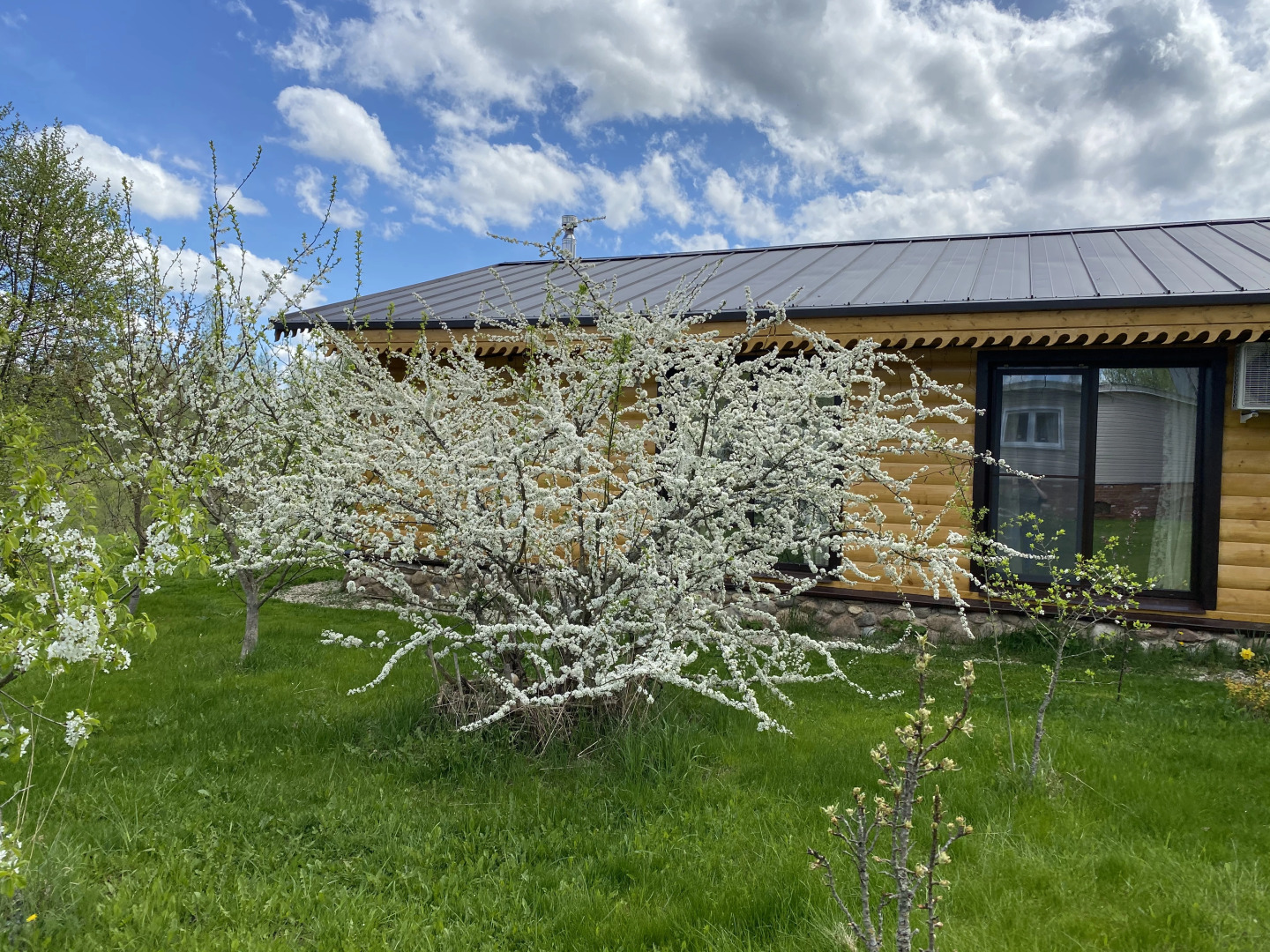 Гостевой дом Псковские дали