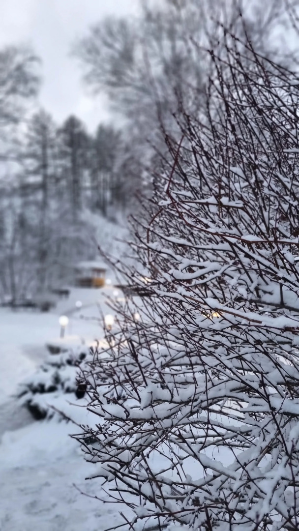 Гостевой Дом Каменный Цветок