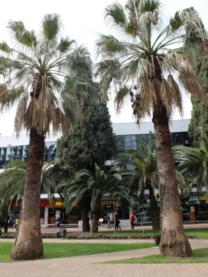 Апартаменты на самой красивой улице города