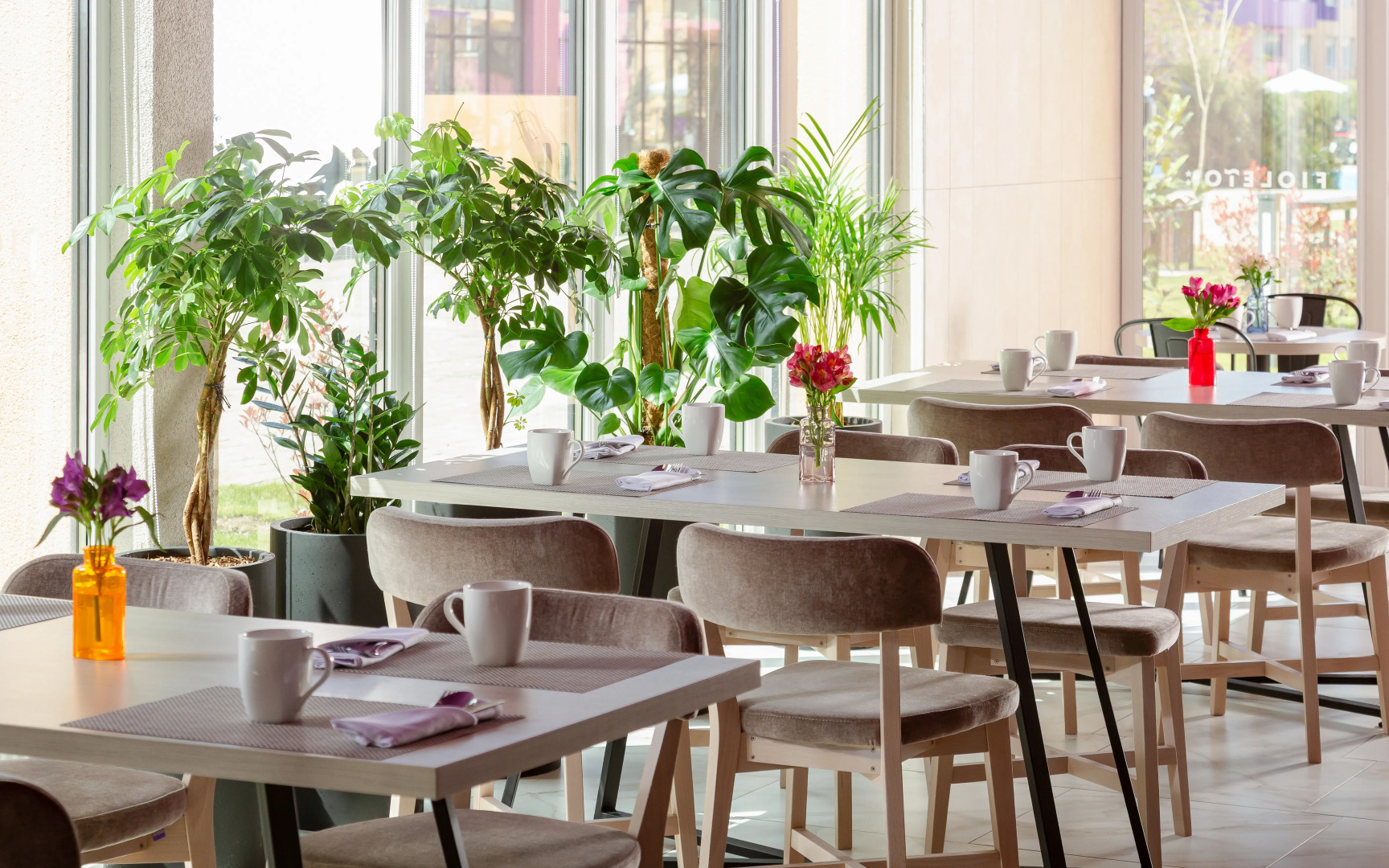 Отель Fioleto Ultra All Inclusive & SPA Anapa Miracleon