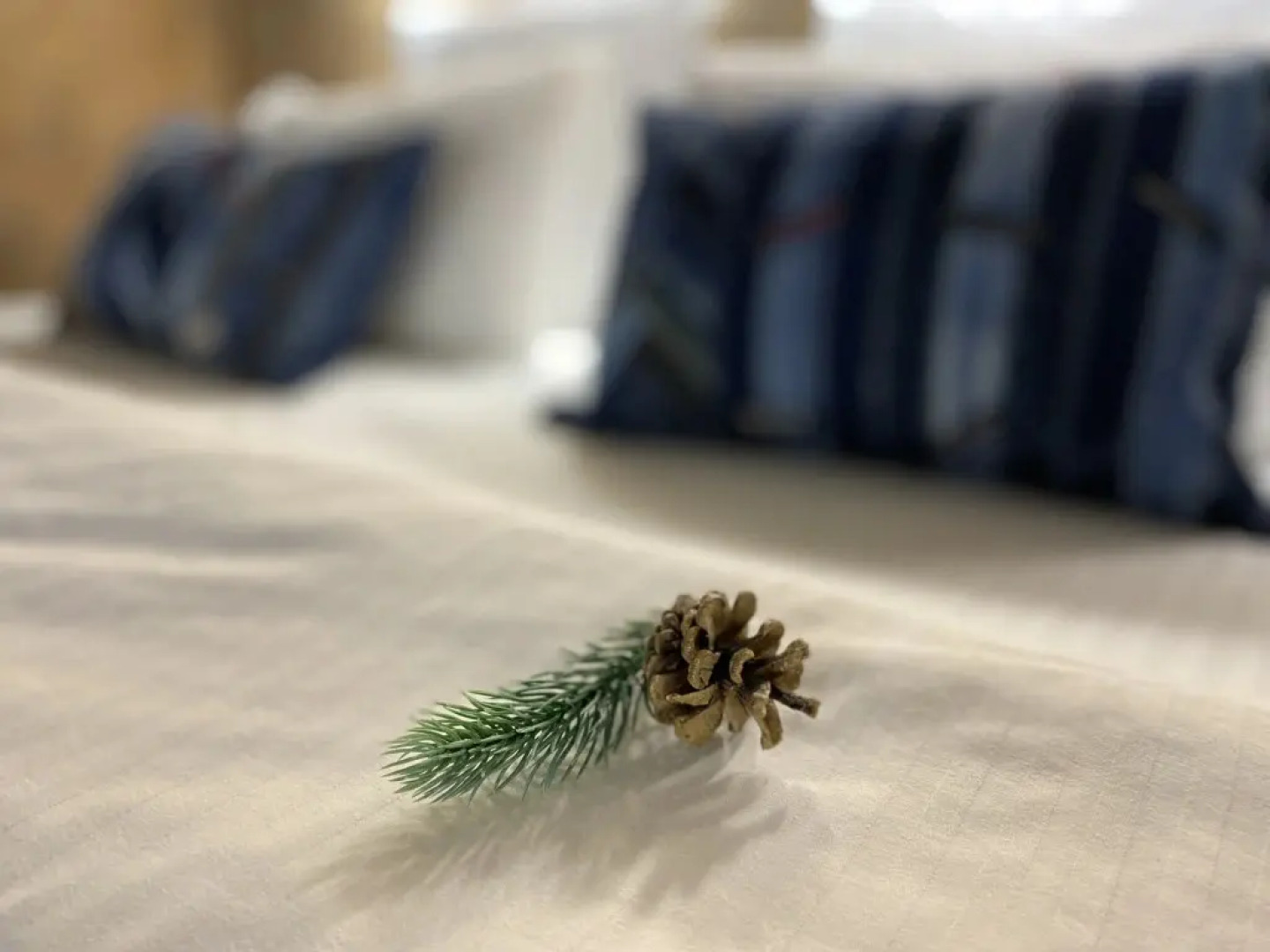 Студия на Бабушкинской