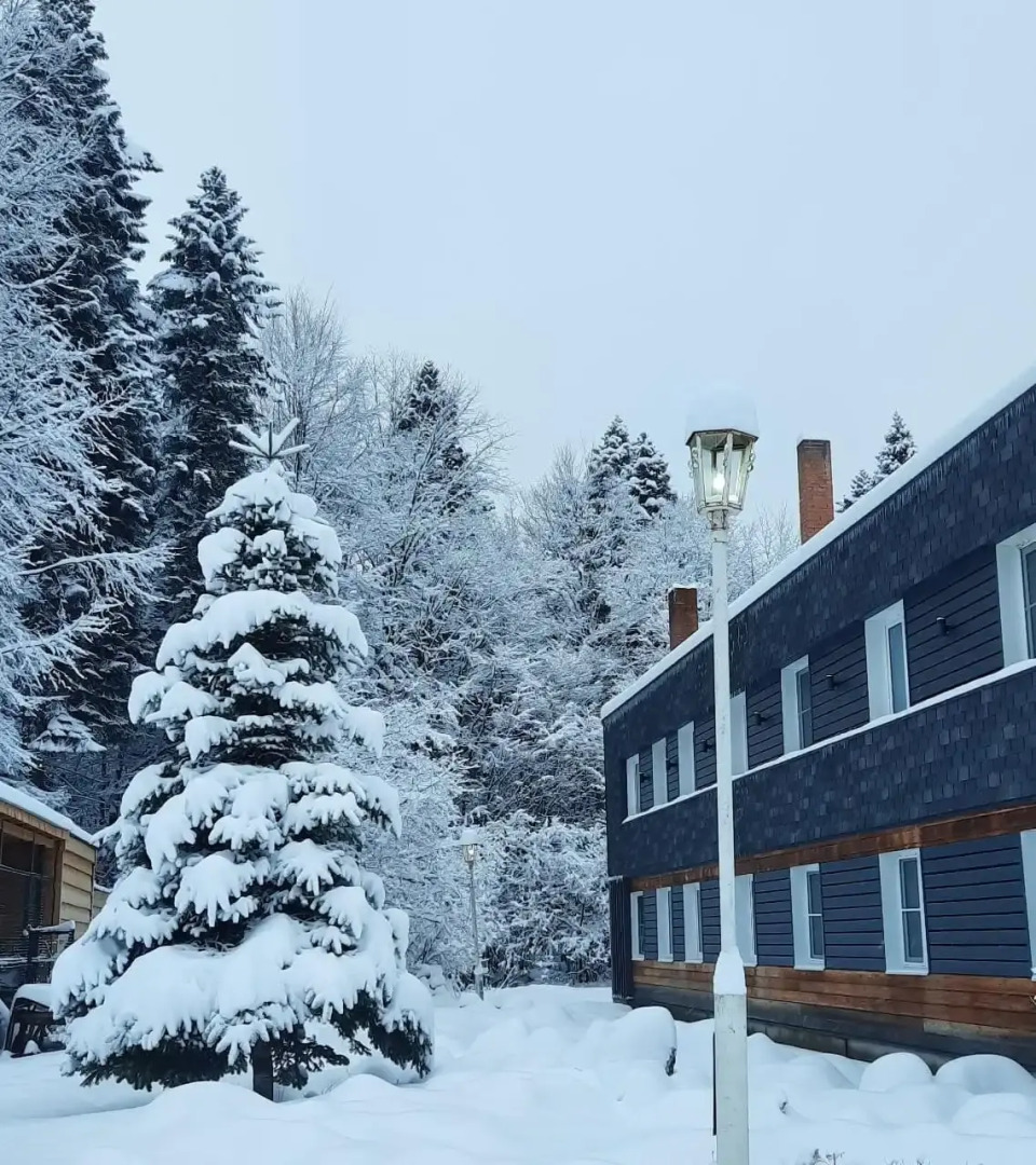 Парк-отель Пихтовый Бор