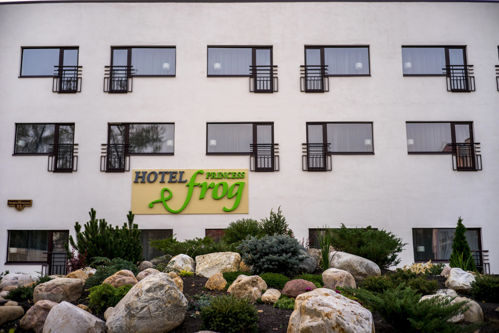 Отель Princess Frog