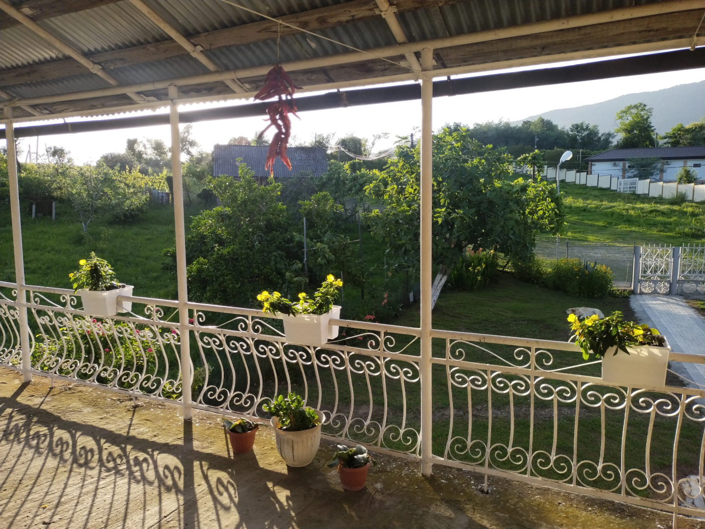 Гостевой дом Цитрус 21