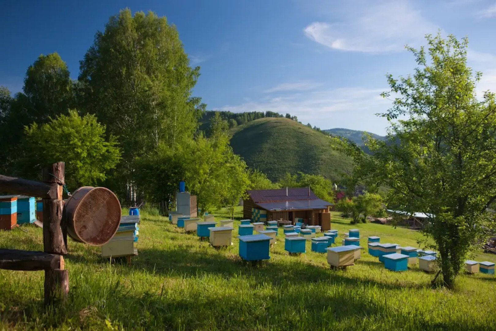 Гостевой дом Басаргино