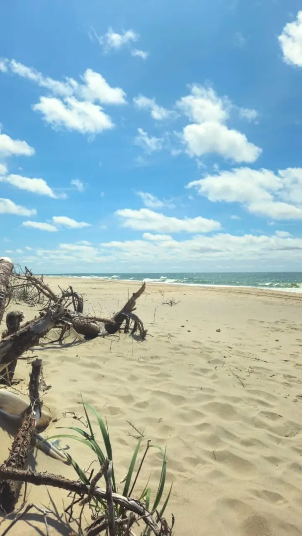 Частный дом Дом у озера Белая дача