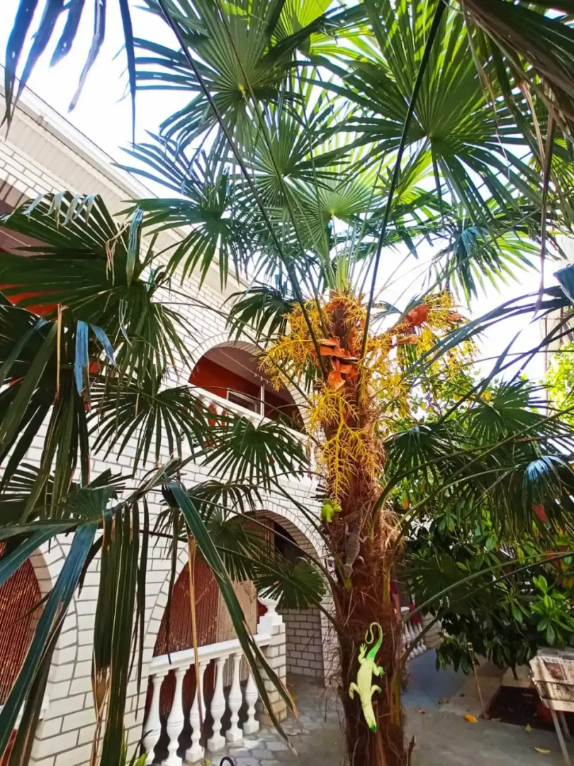 Гостевой Дом Факел 2