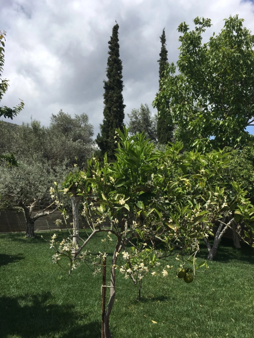 Гостевой Дом Villa Efyra