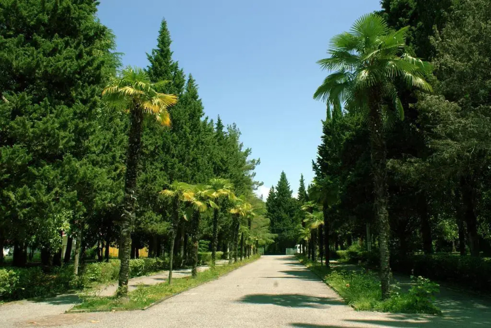 Морская Даль