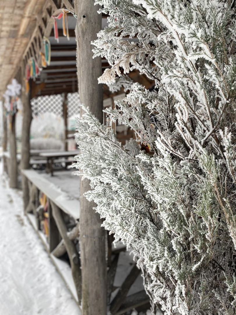 Мини-Отель Хуторок