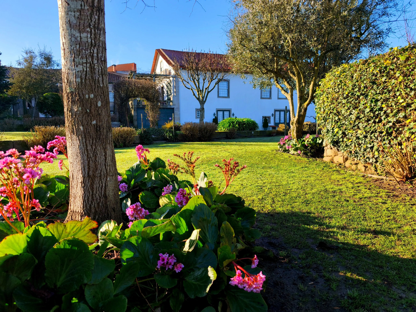 Отель Замок Casa de Santa Ana de Beira