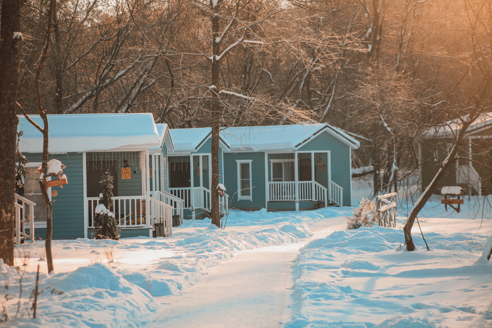 Глэмпинг Лес и Река