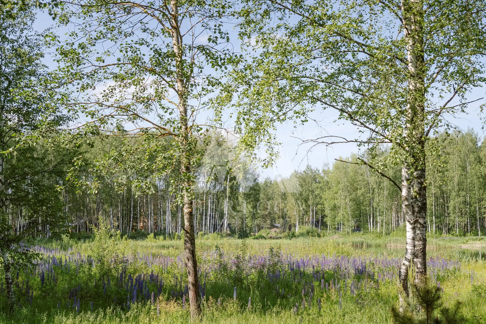 База отдыха Berloga Country Resort