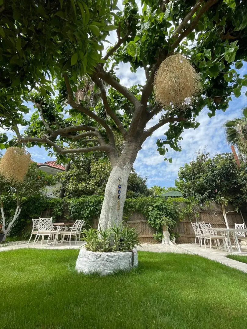 Мини-отель Alican Pension