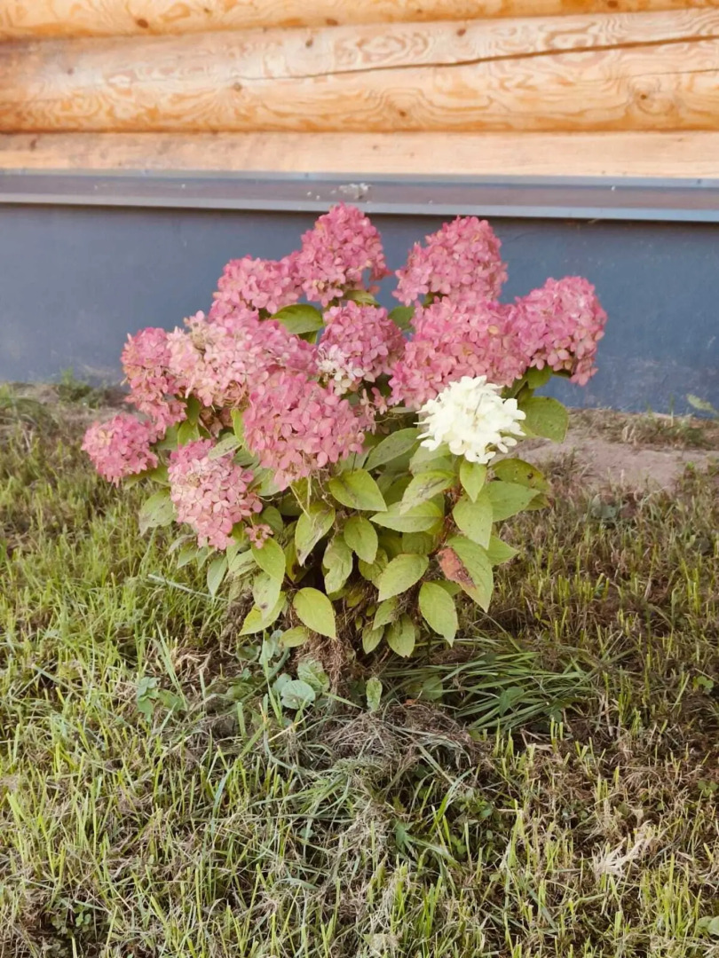 Частный дом в поселке Разливы-1 , 8