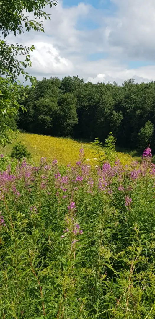 Бунгало Изба у Дуба.Хутор Ишково