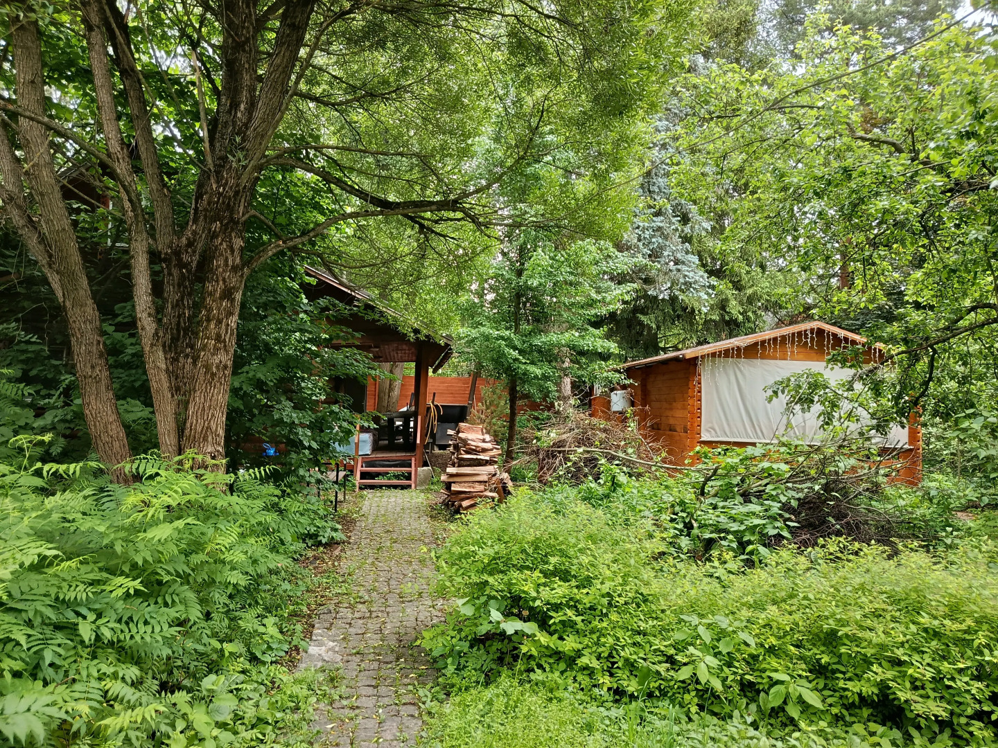 Частный дом Африка в Саду