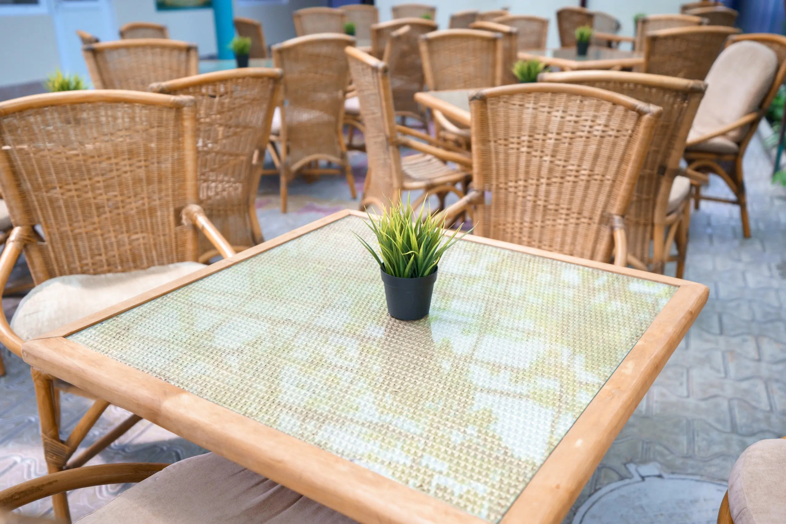 Гостевой дом Венера 2