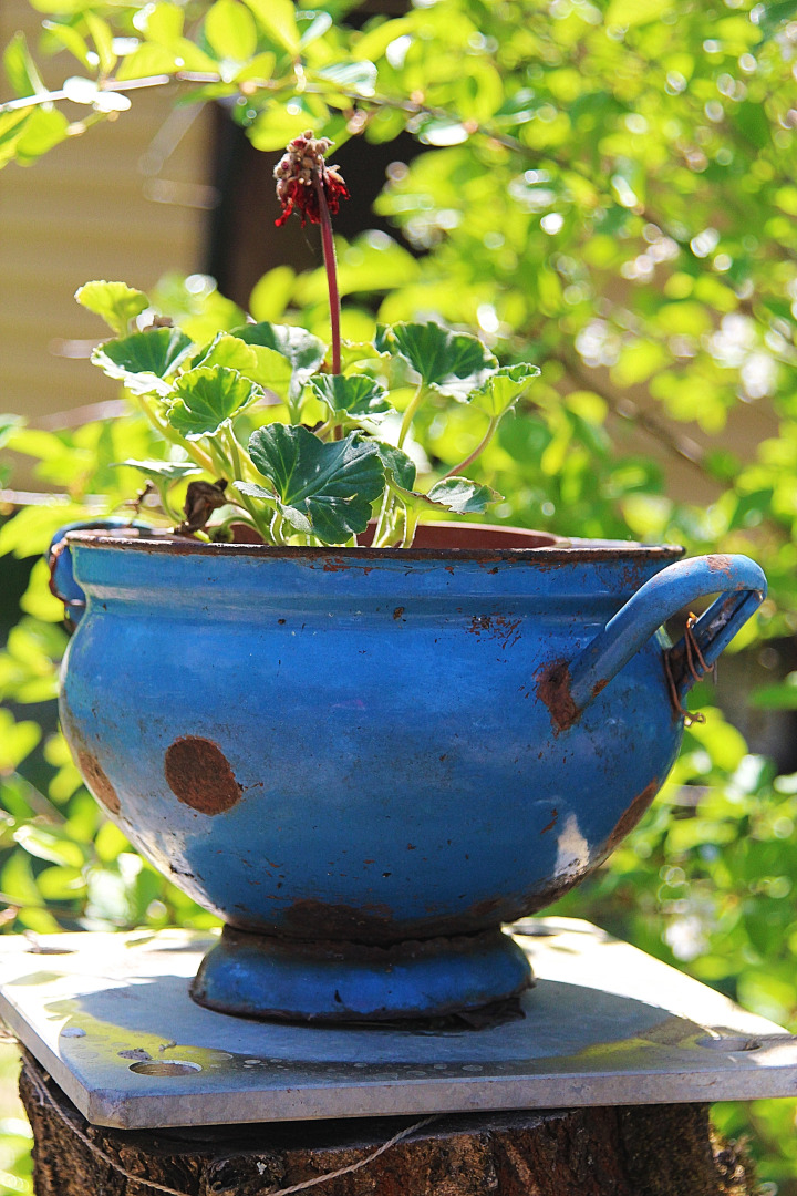 Апартаменты на Мельнице