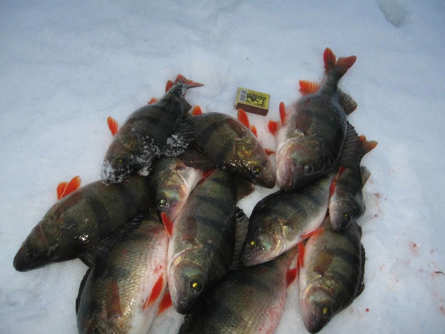 Мини-Отель Усадьба 4 сезона