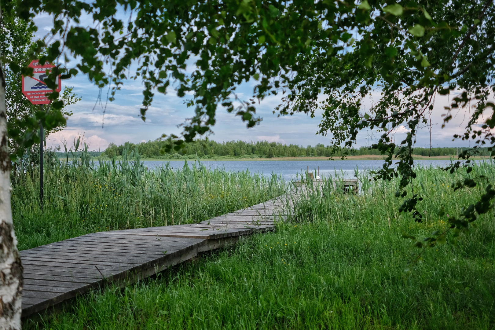Гостевой дом Дикий Гусь