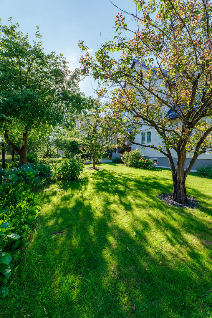 Гостевой дом На Каштановой