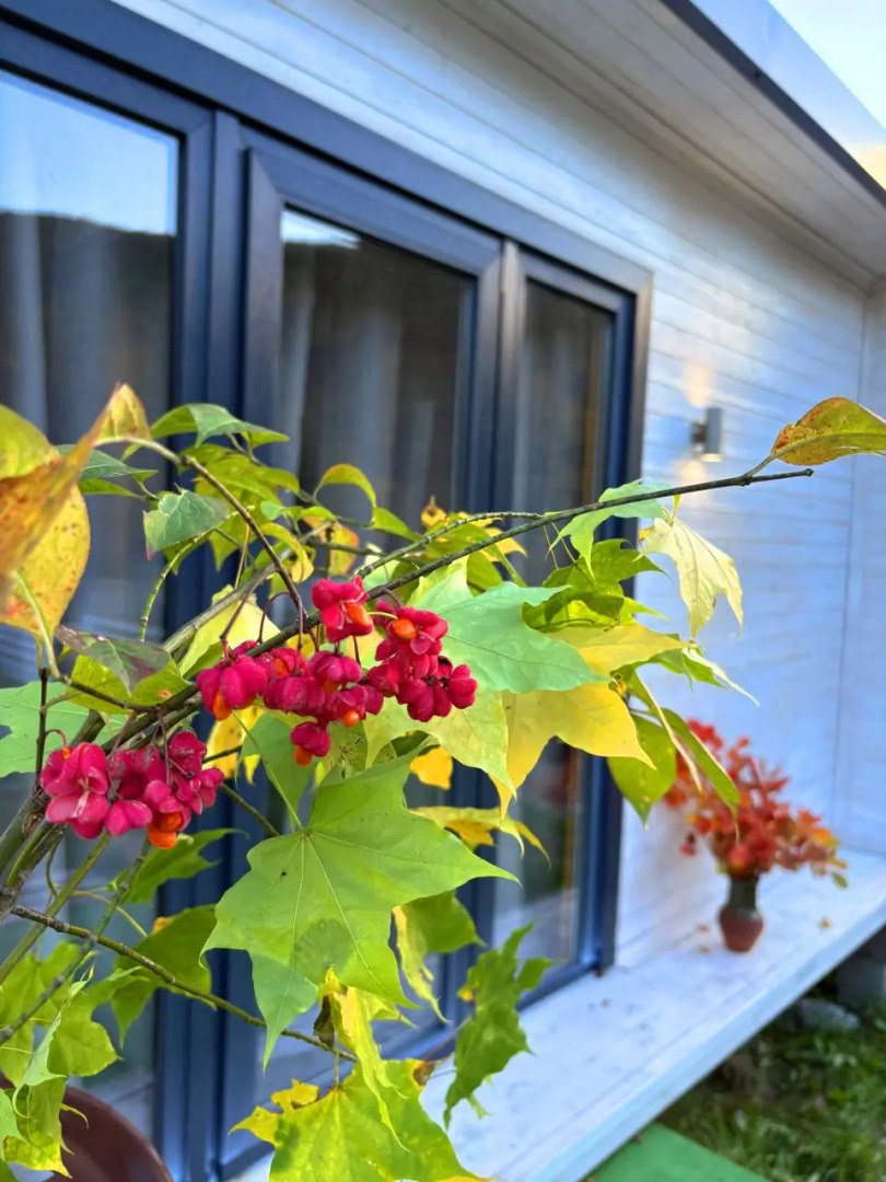 Коттедж Под звездами Стандарт