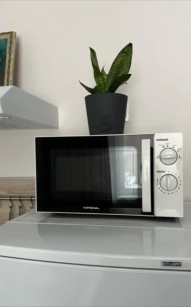 Квартира с окнами на лес