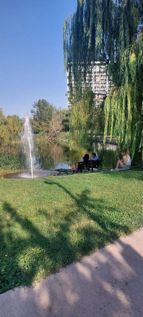 Апартаменты Kiwi