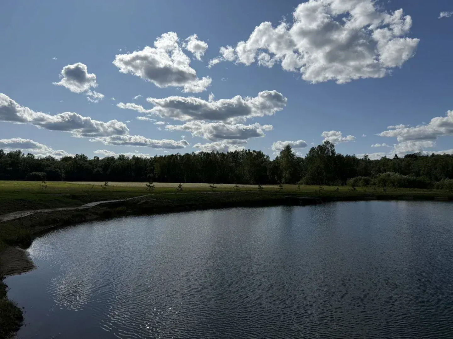 Частный дом в леcу вблизи Вязьмы