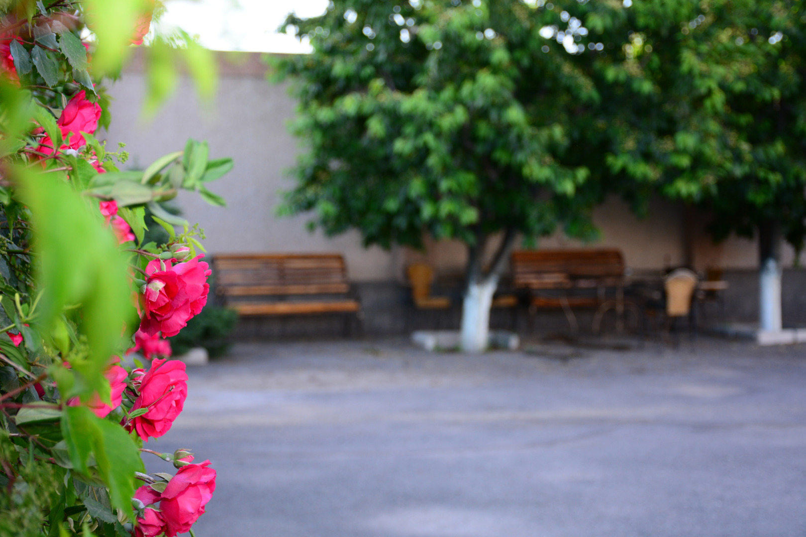 Гостевой дом Artsakh