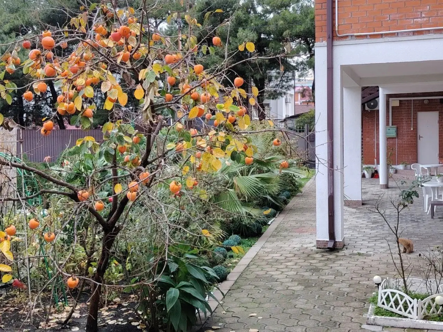 Отель Нинель