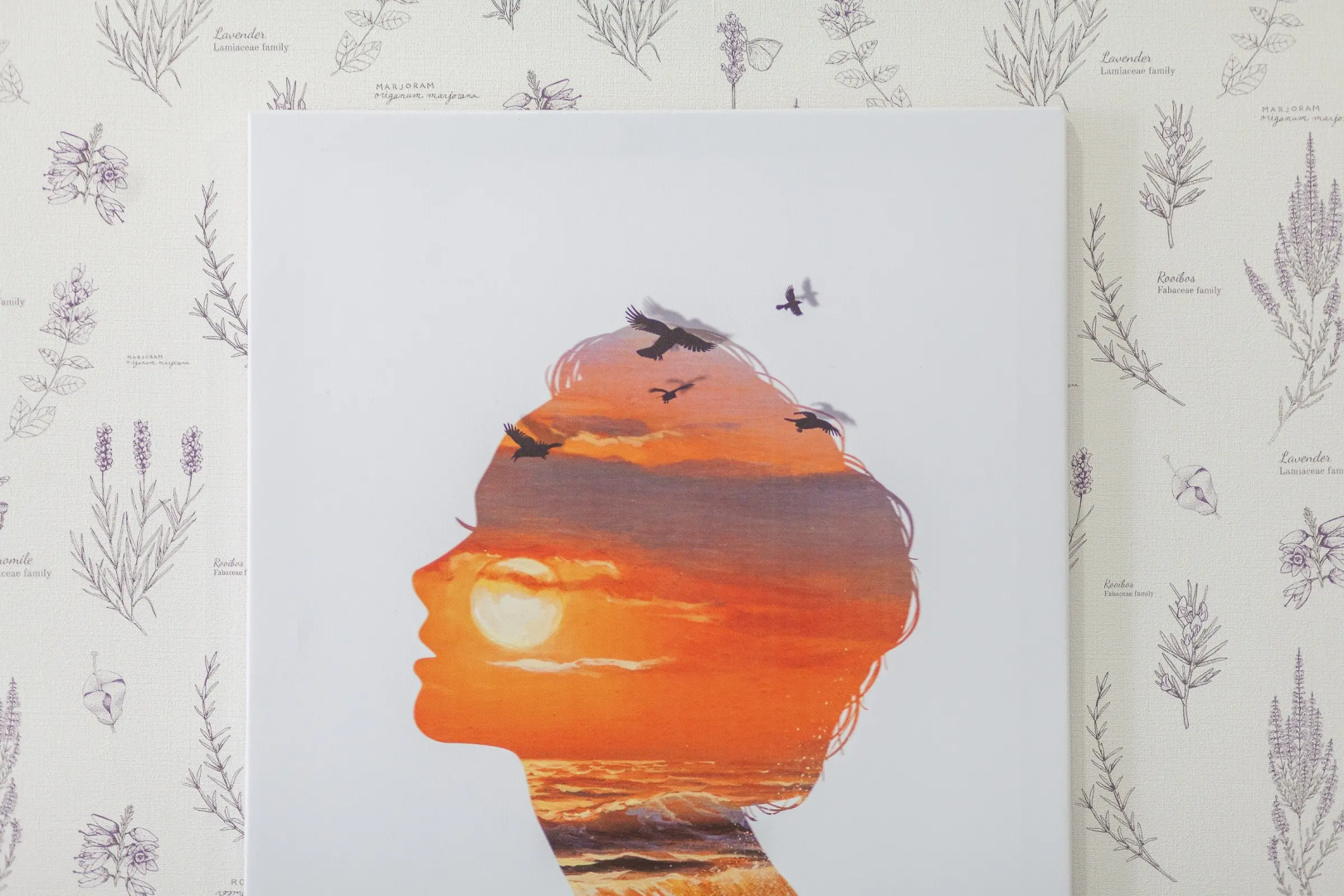 Апартаменты RentPlaza в Центре