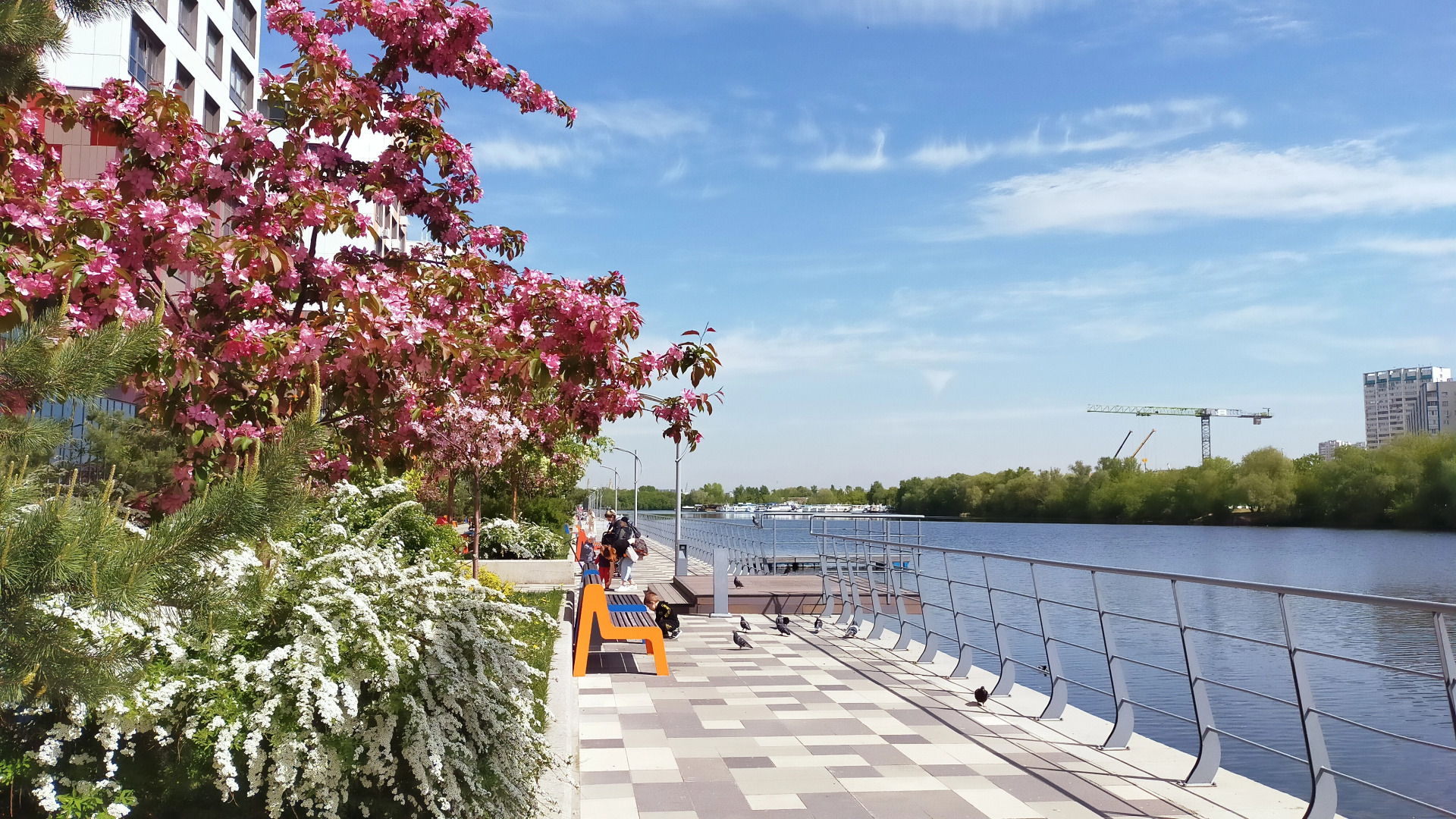 Апартаменты Семейная студия Люкс Монро