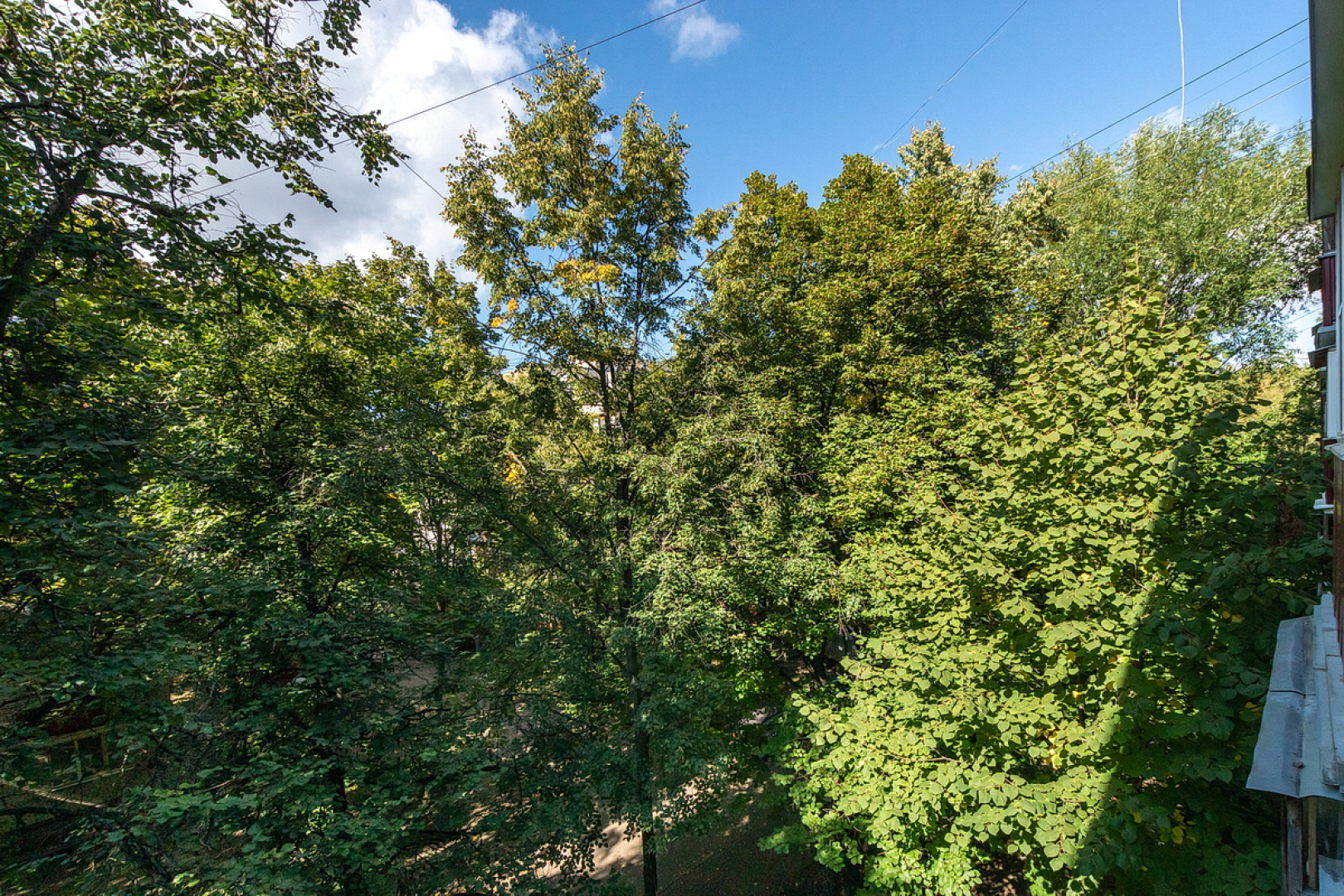 Квартира около Цито