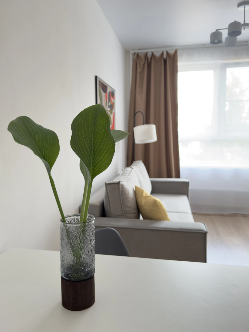 Квартира Светлая