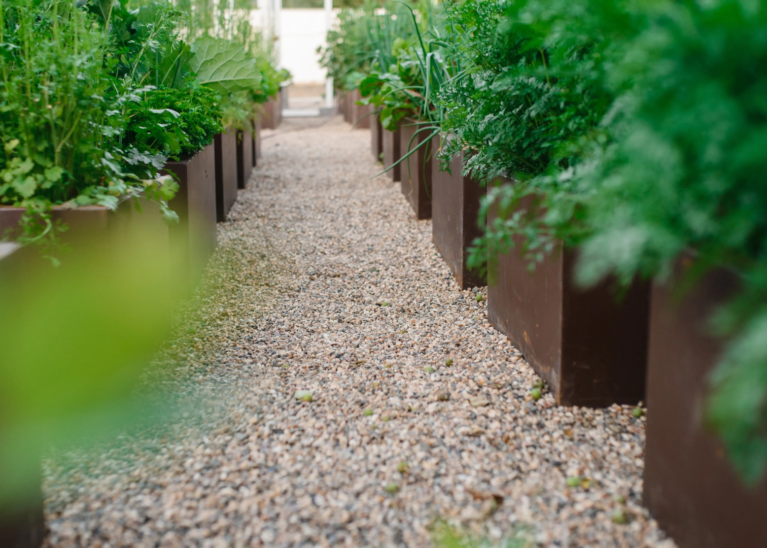 Бутик-отель Зелёная Сова