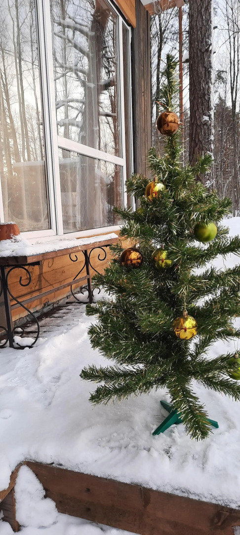 Частный дом в Вязах 1