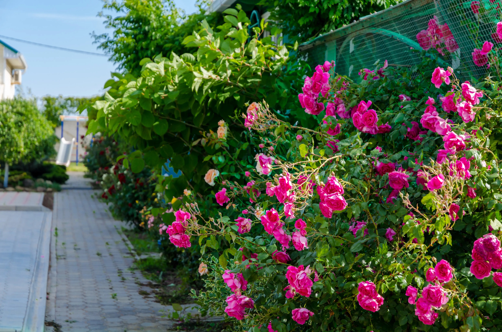 Гостевой Дом Гелиос