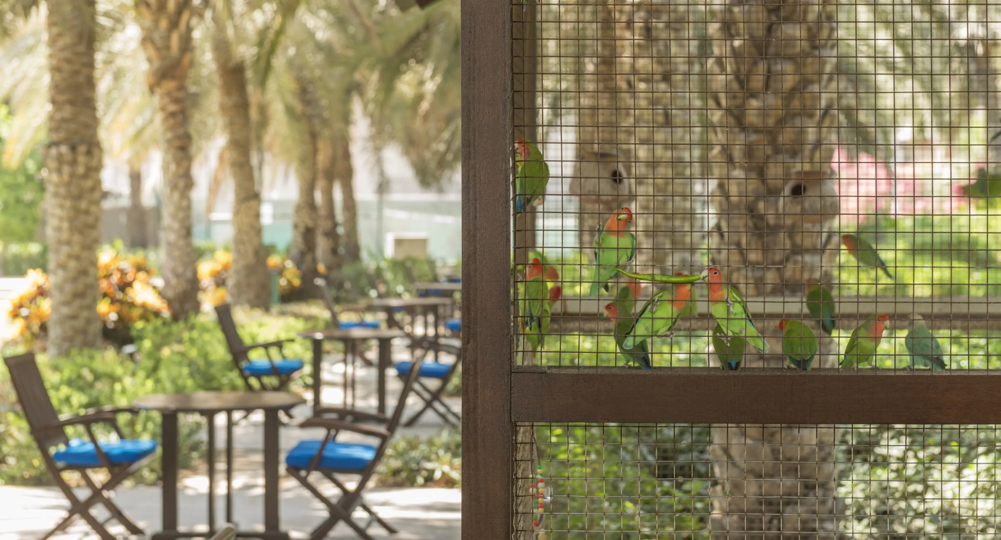 Hotel Coral Beach Resort Sharjah