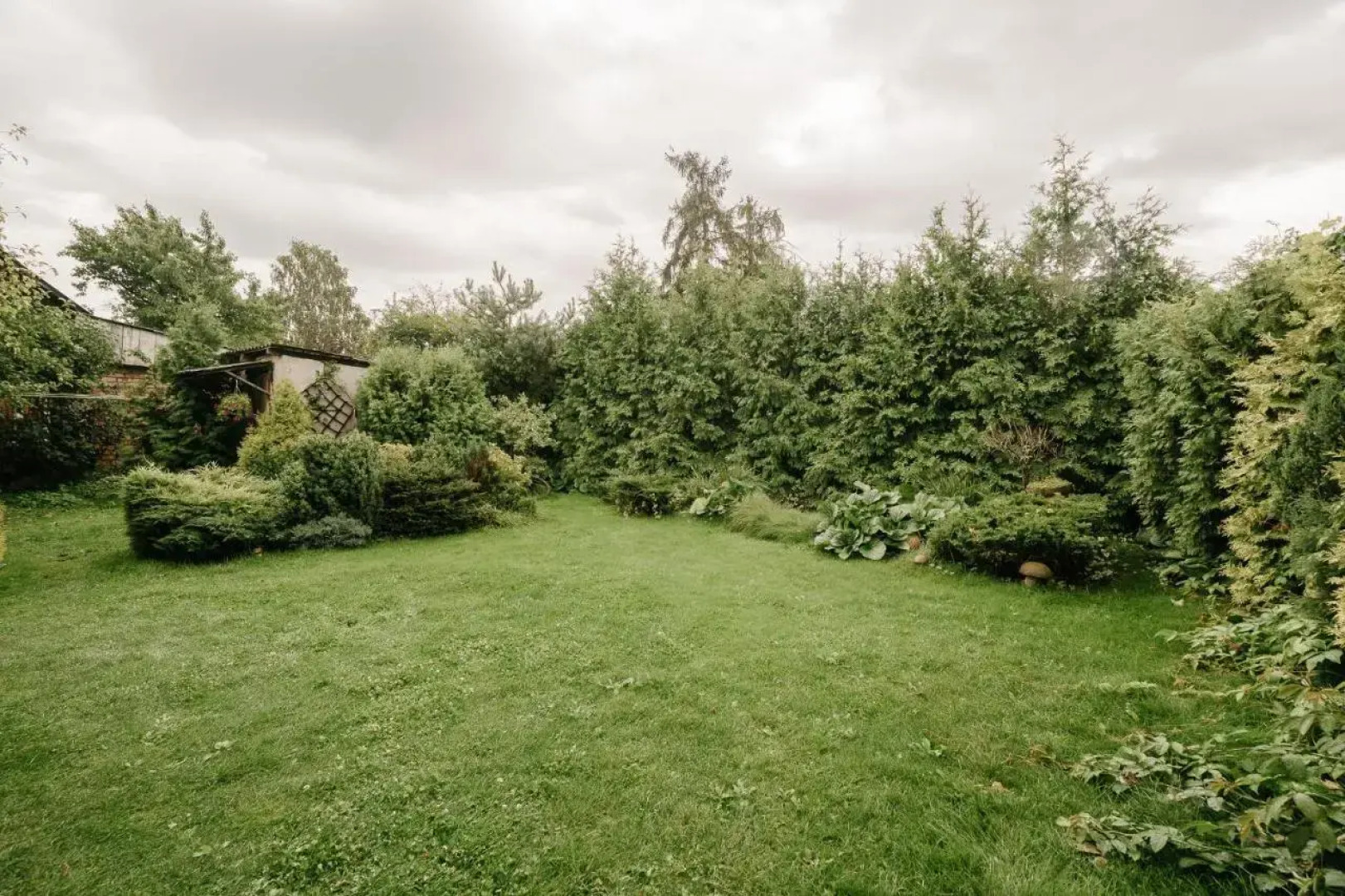 Апартаменты на Щедрина