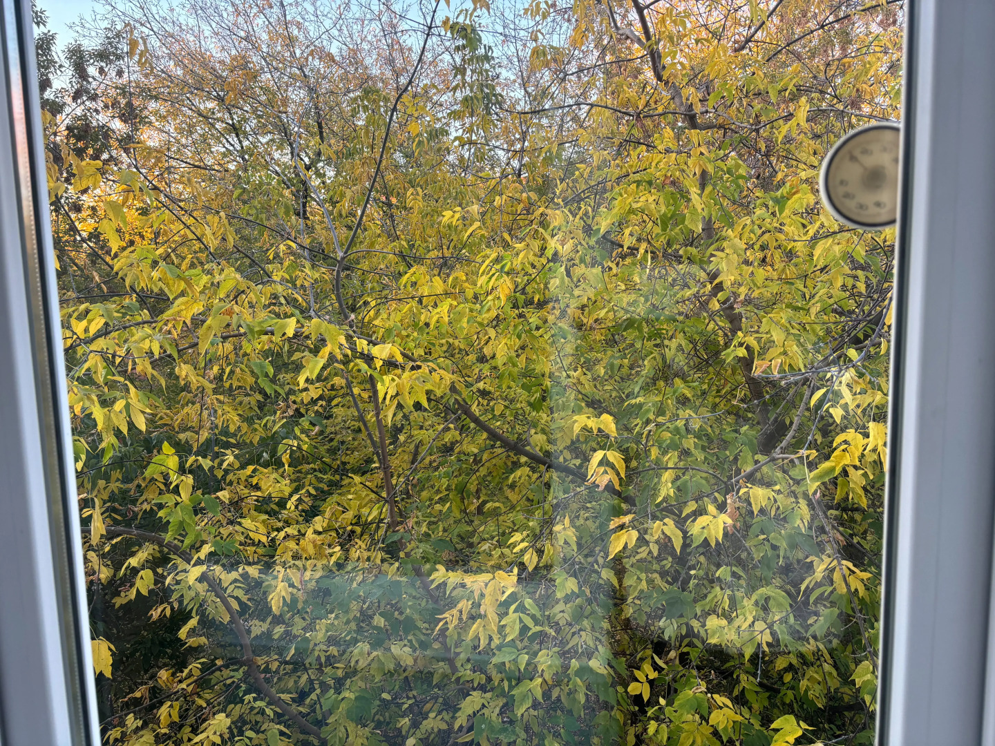 Квартира Трёхкомнатная квартира на Пушкинской