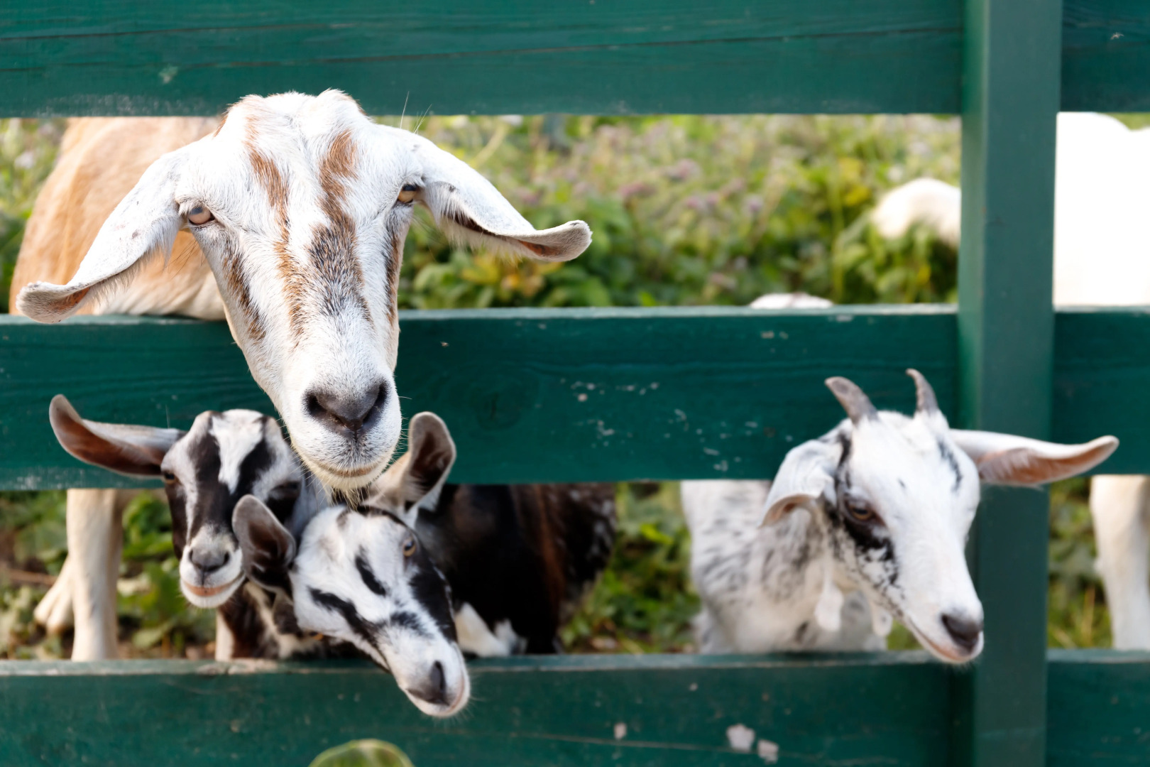 Частный дом Романовское подворье №2