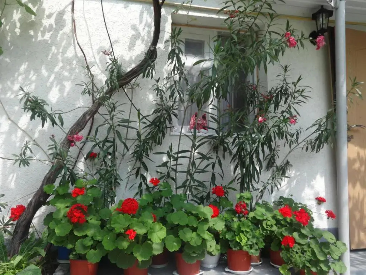 Уютный номер для семейного отдыха в частном секторе