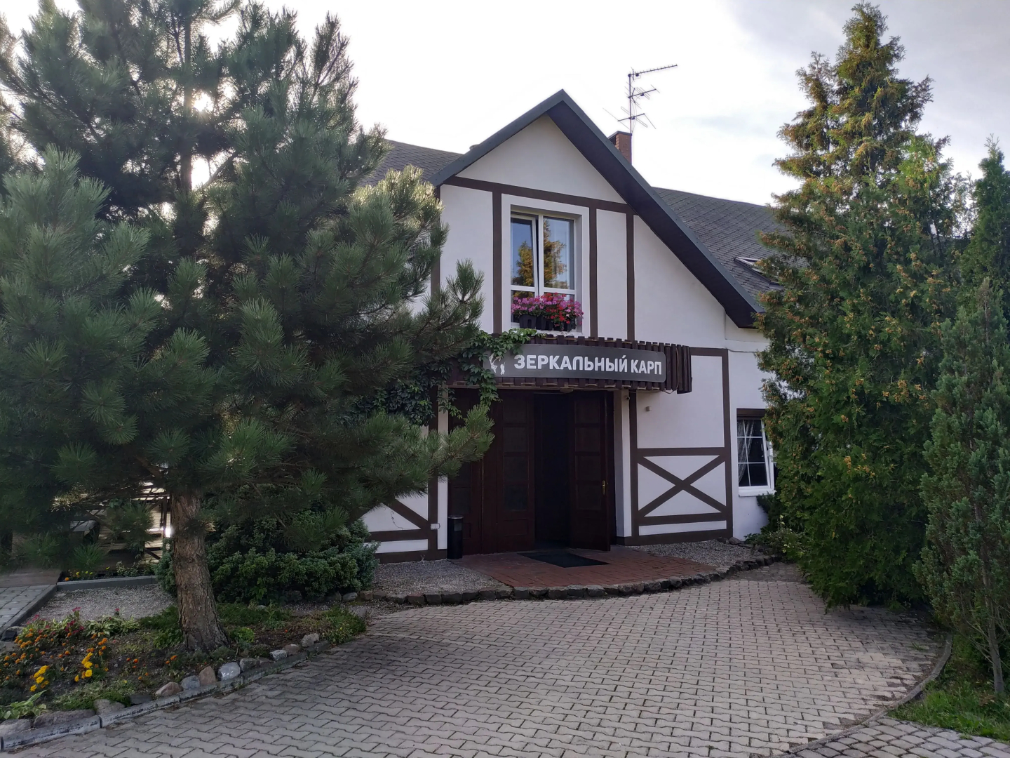 База отдыха Зеркальный карп