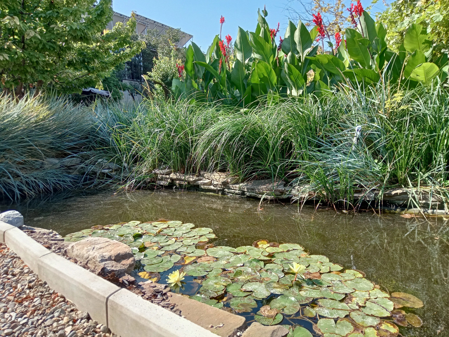 Отель Парк Отель Севилия