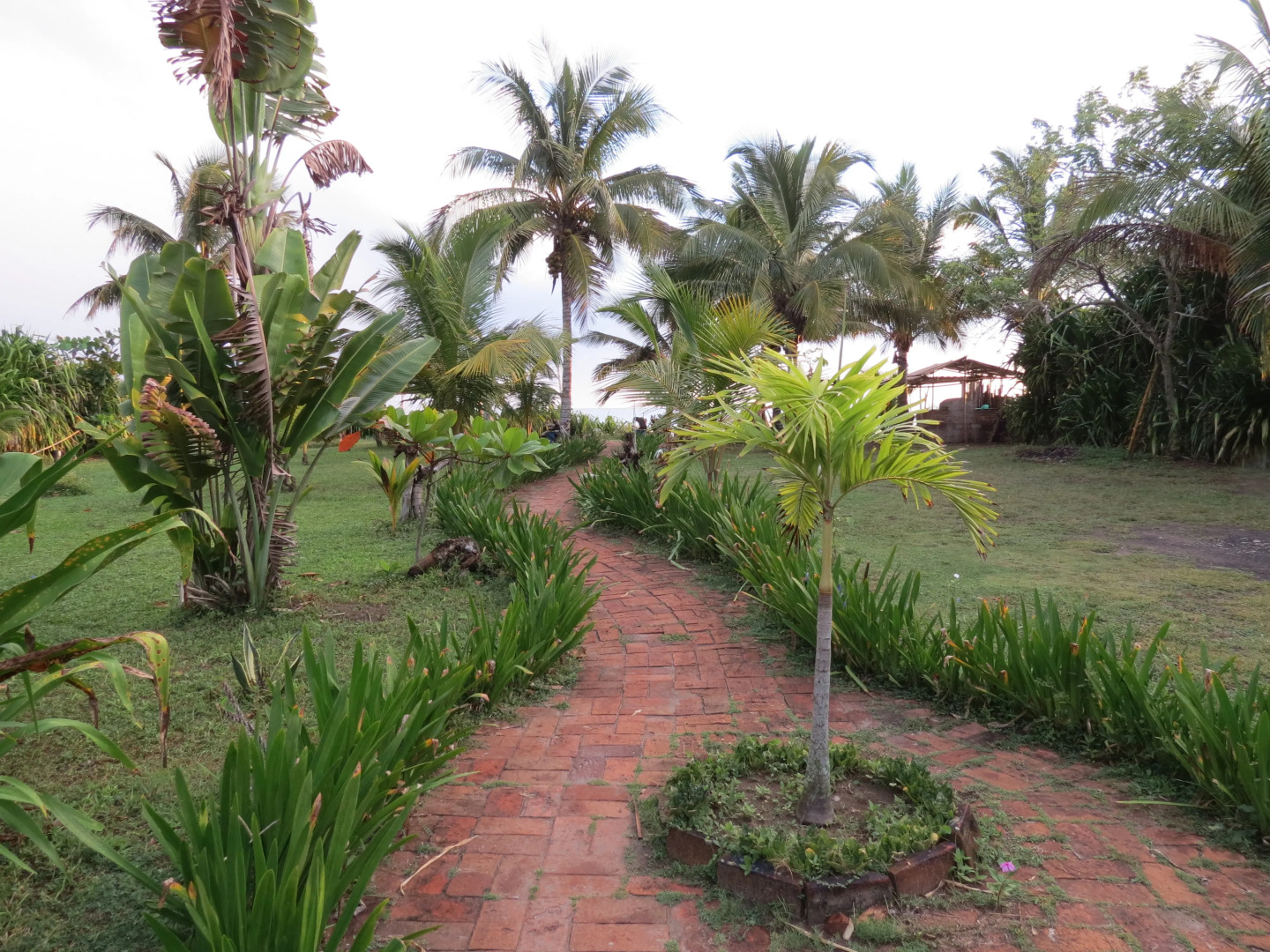 Отель Eco Coco Loco by Rotamundos